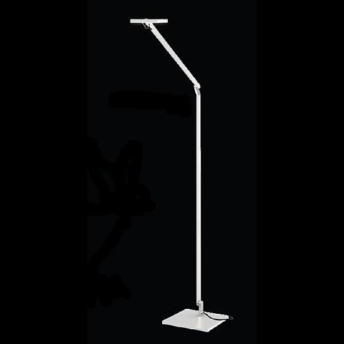 Roxxane Home Floor and reading luminaire 4000K, black